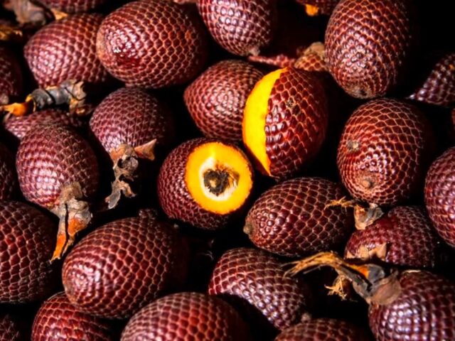 JEDNODRUHOVÉ EXTRAKTY